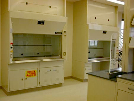 Flammable storage and chemical storage cabinets below a fume hood
